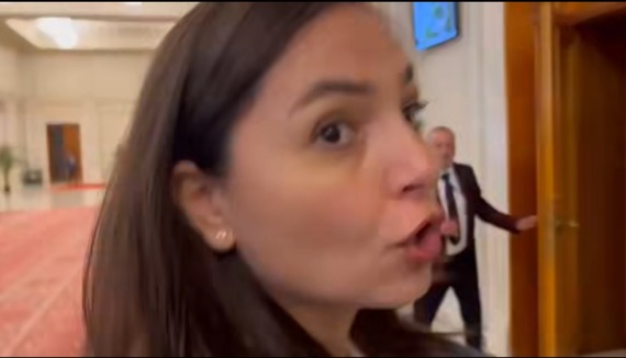 DERAPAJ al deputatei Anamaria Gavrilă către ziarişti: 